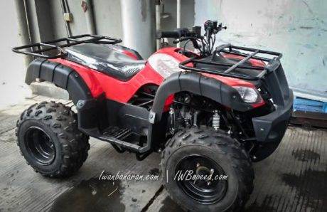 ATV Viar (1)